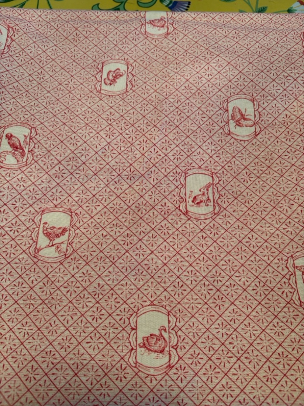 Moygashel Irish Toile Fabric Featuring Dogs, Rabbits 🐇 Butterflies 🦋 Swans!